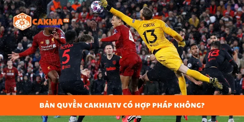 Bản quyền cakhiatv có hợp pháp không?
